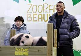 Kylian Mbappe: French footballer becomes godfather to baby pandas